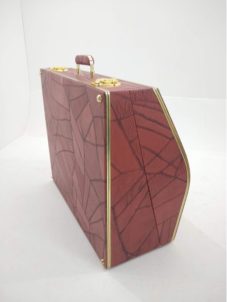 Case para Acordeon 120 baixos Super VI - Image 3